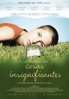 "Insignificant Things" (2008) DVDRip.XviD-VoMiT